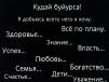 Фотография speex331