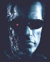 Фотография Terminator-WS